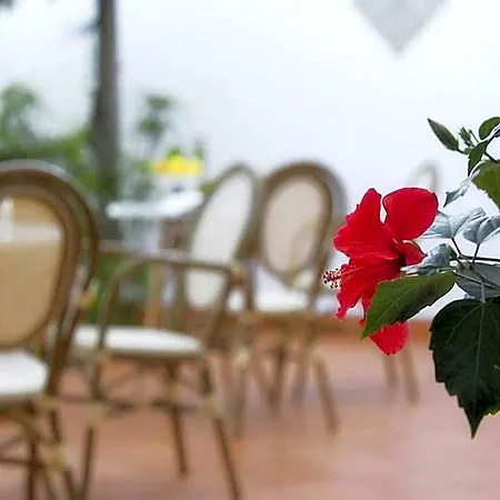 B&B Ravello Rooms Bed and breakfast 3*