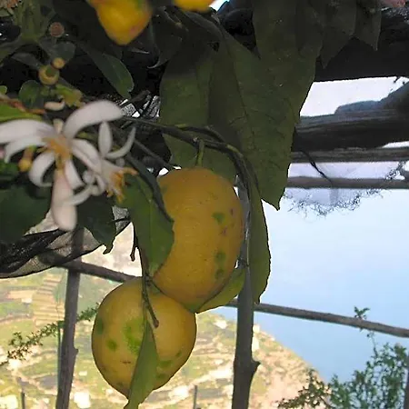 Bed and breakfast B&B Ravello Rooms Ravello