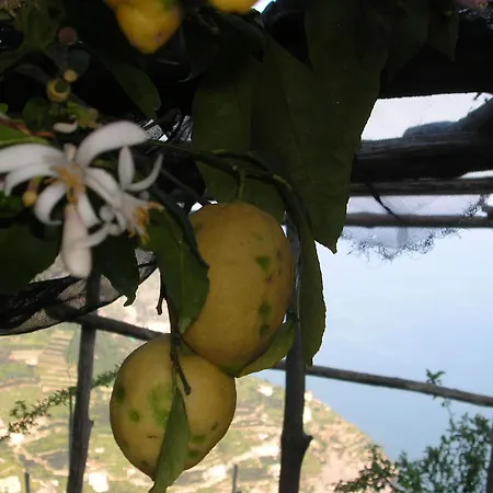 לינה וארוחת בוקר B&B Ravello Rooms