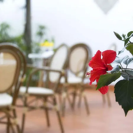 بي أند بي رافيلو روومز فندق مبيت وإفطار 3*